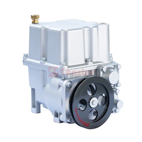 Censtar Combined Vane Pump 