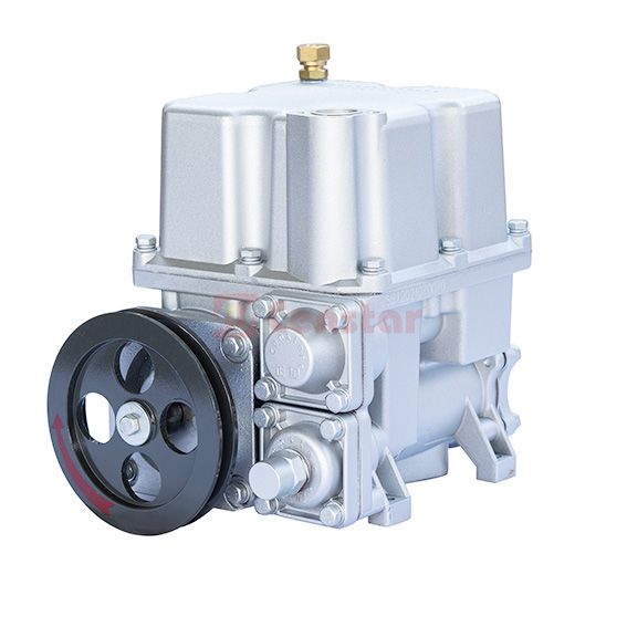 Censtar Combined Vane Pump 